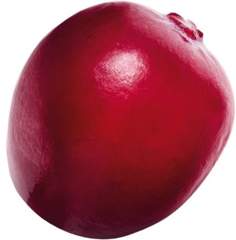 Accent Image